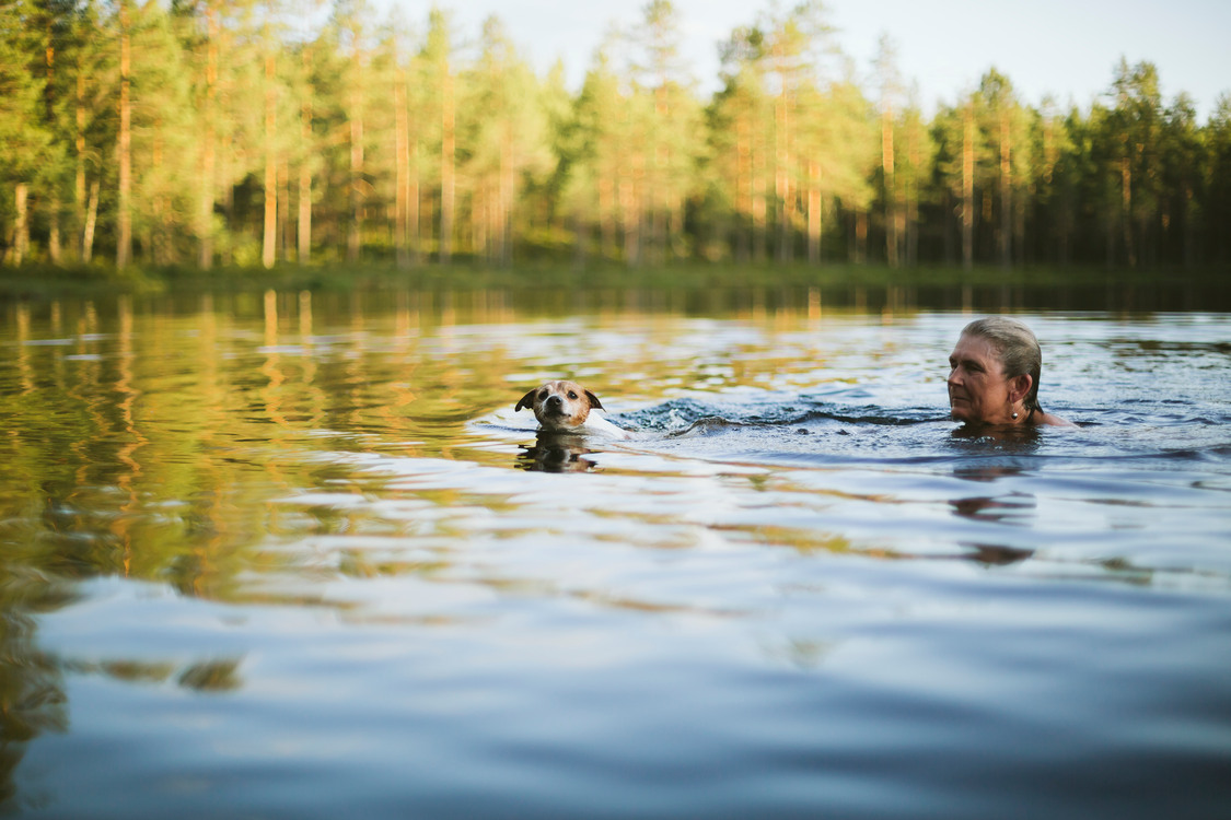 Hund och kvinna simmar i sjö