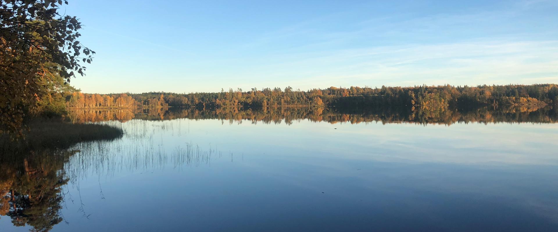 sjö
