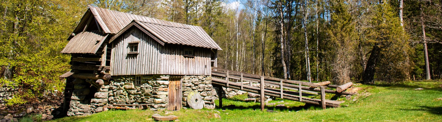 En gammal timmerstuga mitt i skogen.