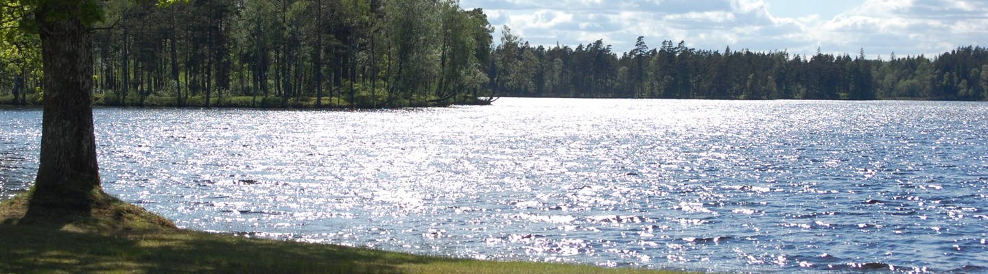 Skärshults sjö omgiven av träd.
