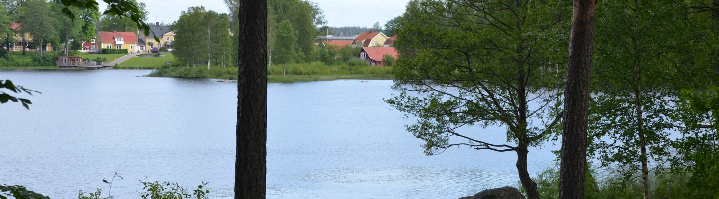 En sjö omgiven av träd och några hus.